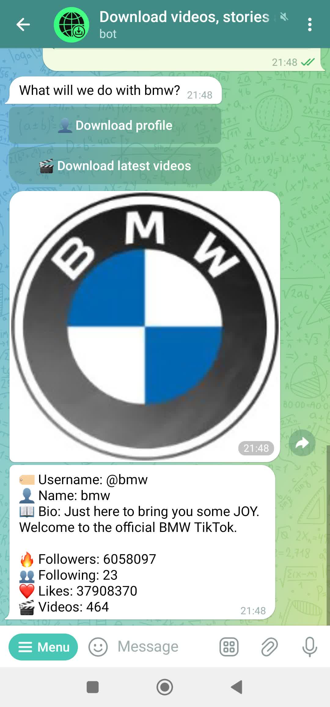 TikTok profile information