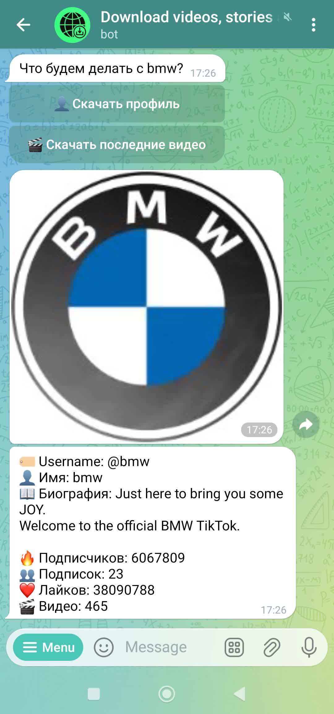 Информация о профиле TikTok